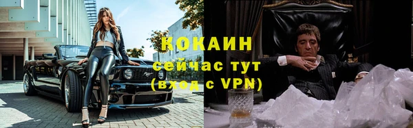 прущие грибы Аркадак