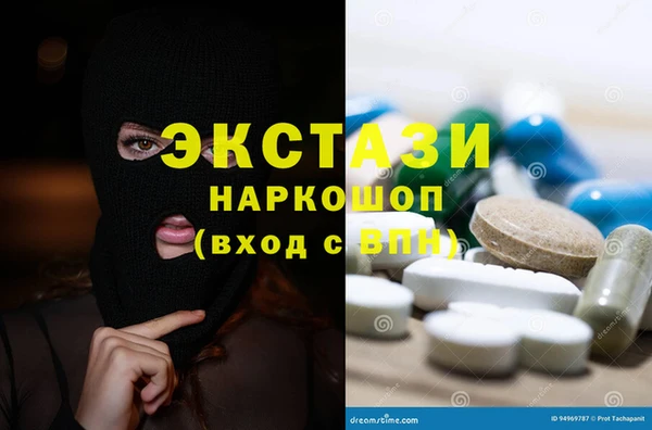 прущие грибы Аркадак