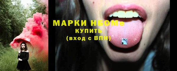 прущие грибы Аркадак