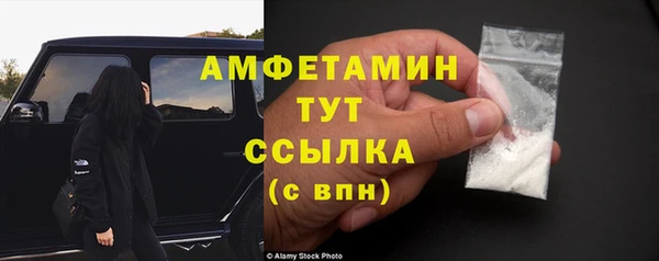прущие грибы Аркадак