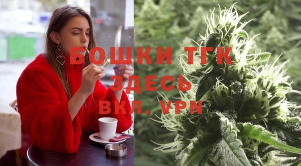 прущие грибы Аркадак