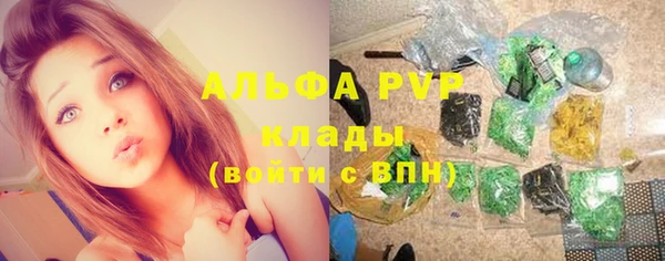 прущие грибы Армянск