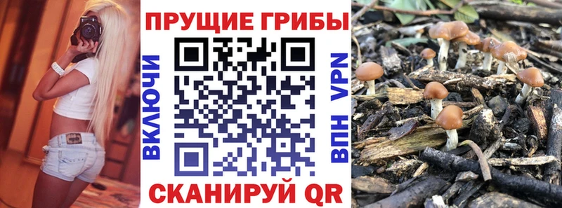 Галлюциногенные грибы GOLDEN TEACHER  Истра 